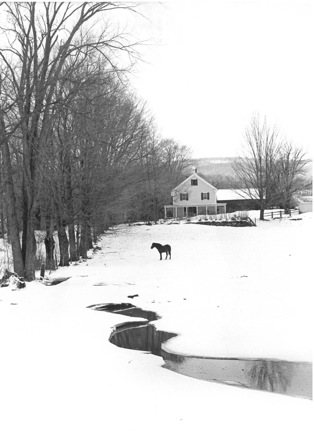 Lanesborough Road to Mount Greylock, 1978